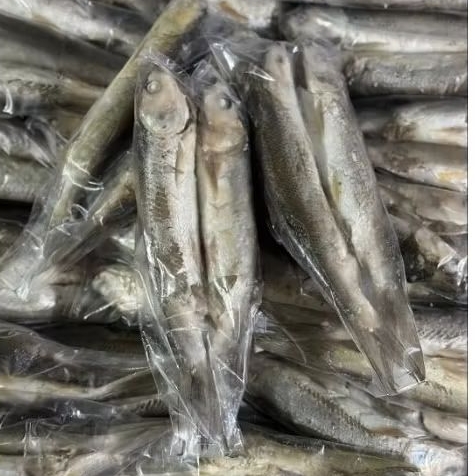 

OTAK-OTAK BANDENG 2 PCS