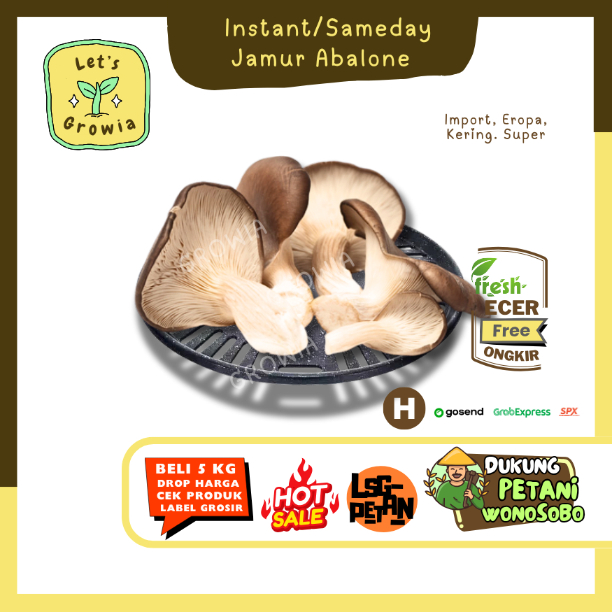 

Growia || Jamur Abalone -- Hasil Petani Langsung Ecer Sayur Gunung (H)
