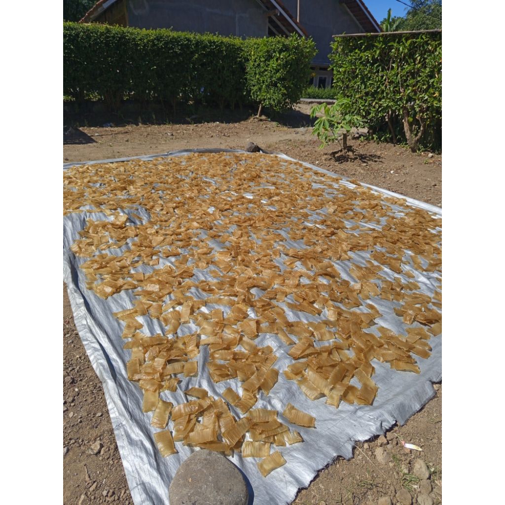 

SETENGAH KG KRUPUK MENTAH RENYAH & GURIH KHAS CIBINGBIN