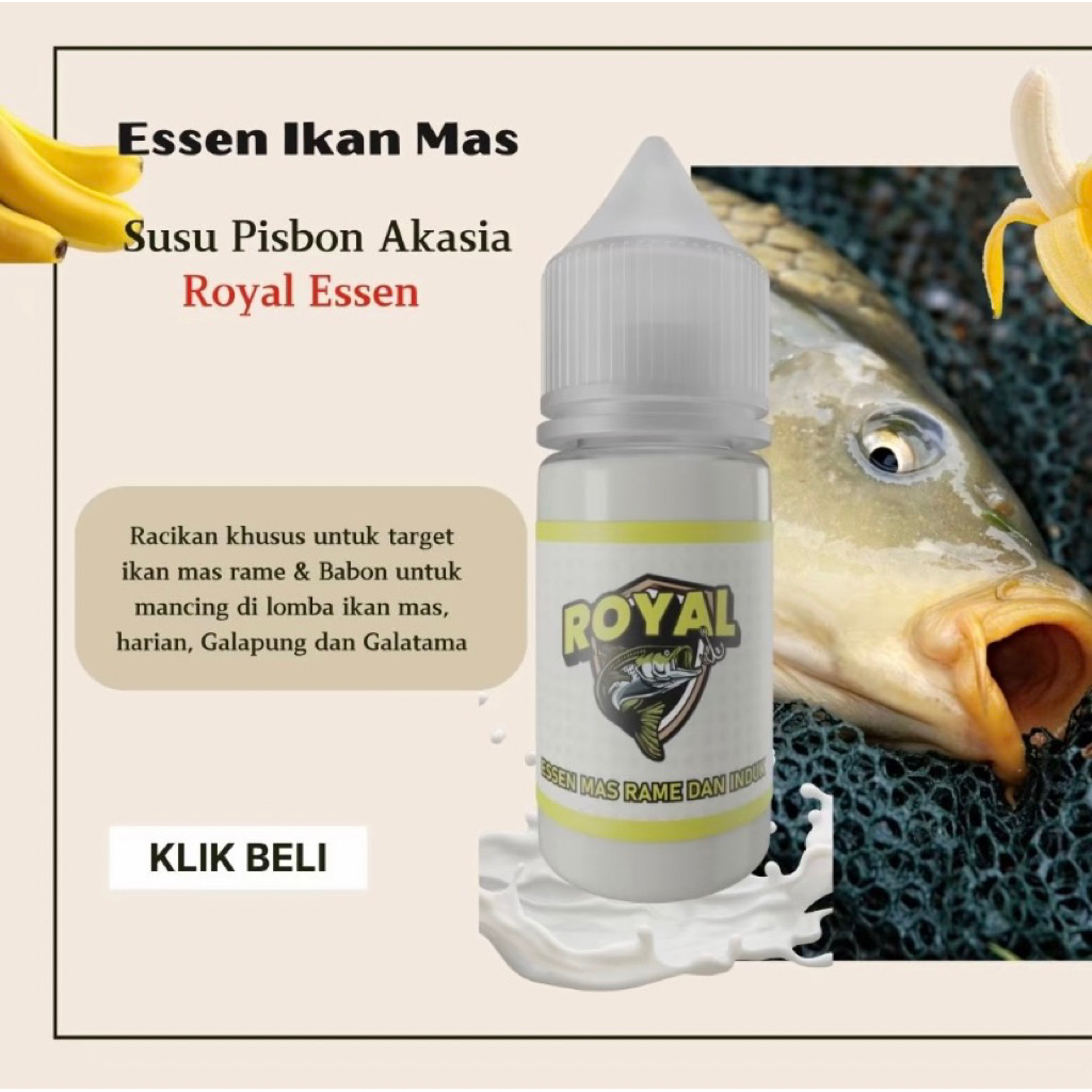 Essen ikan mas rame dan babon paling gacor segala cuaca, Essen ikan mas aroma susu pisbon akasia, es