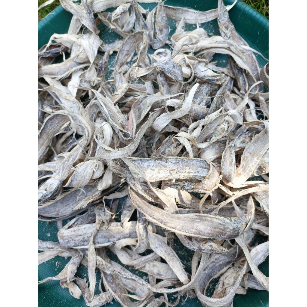 

Ikan asin layur kering