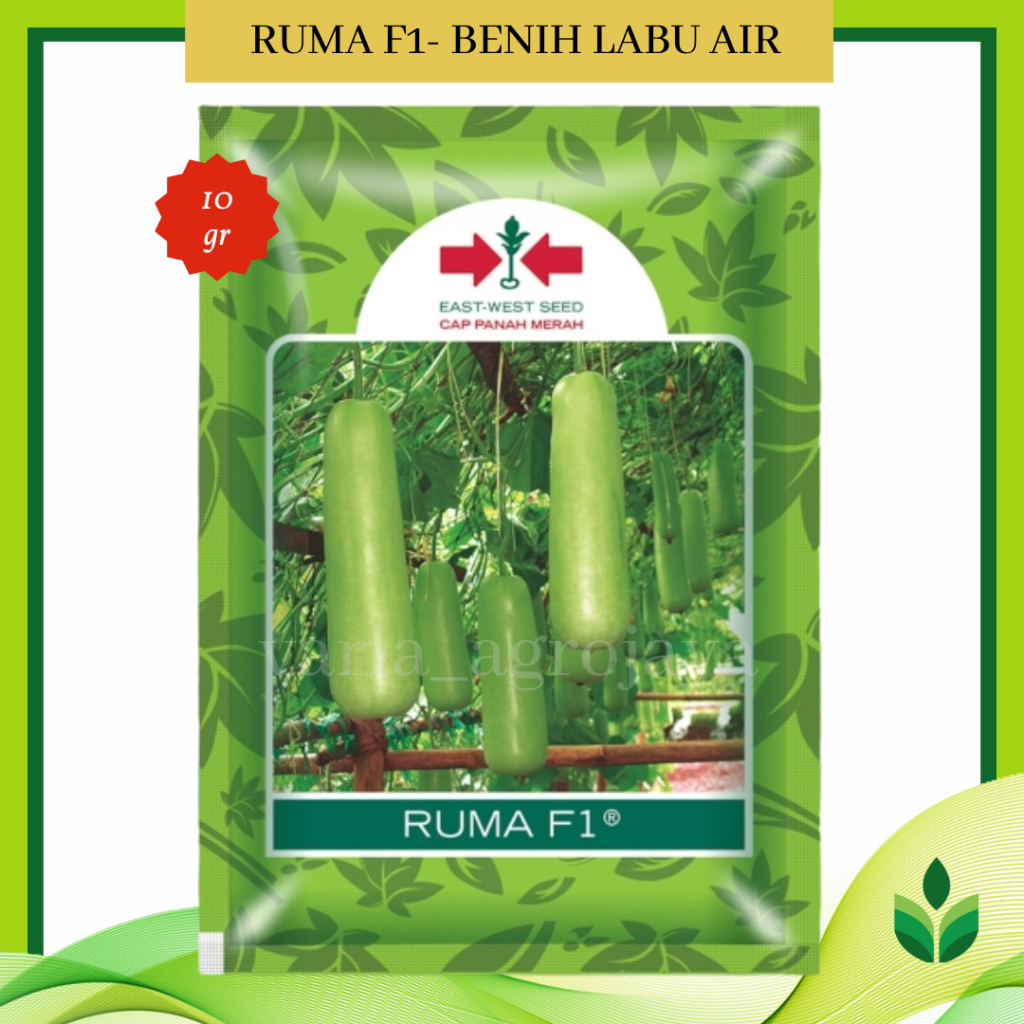 Benih Bibit Labu Air Ruma F1 - Cap Panah Merah