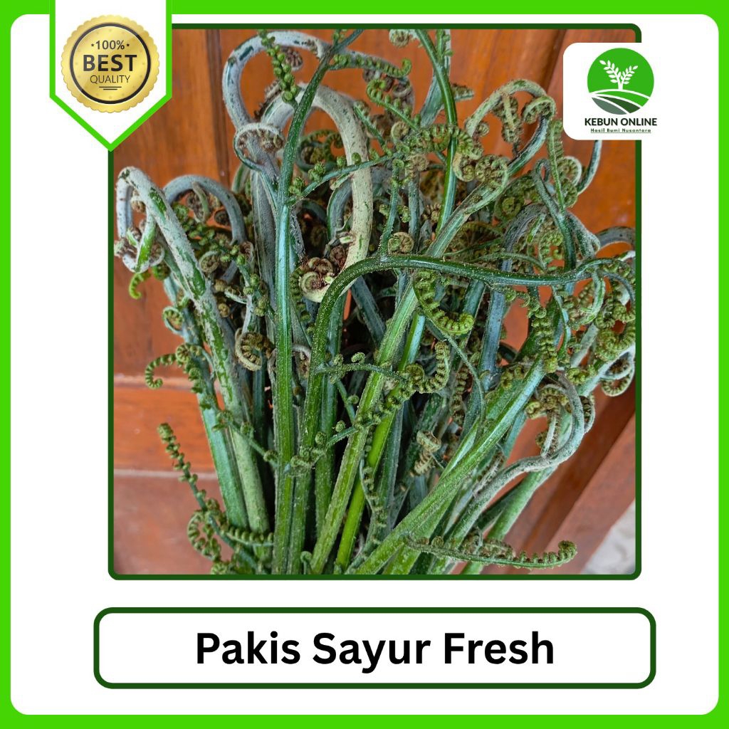 

COD Pakis Sayur Segar [1kg]