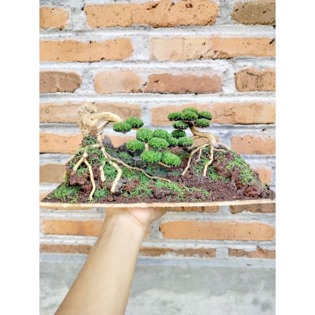 Hardscape Aquascape/Bonsai Aquascape/Aquascape Sintetis