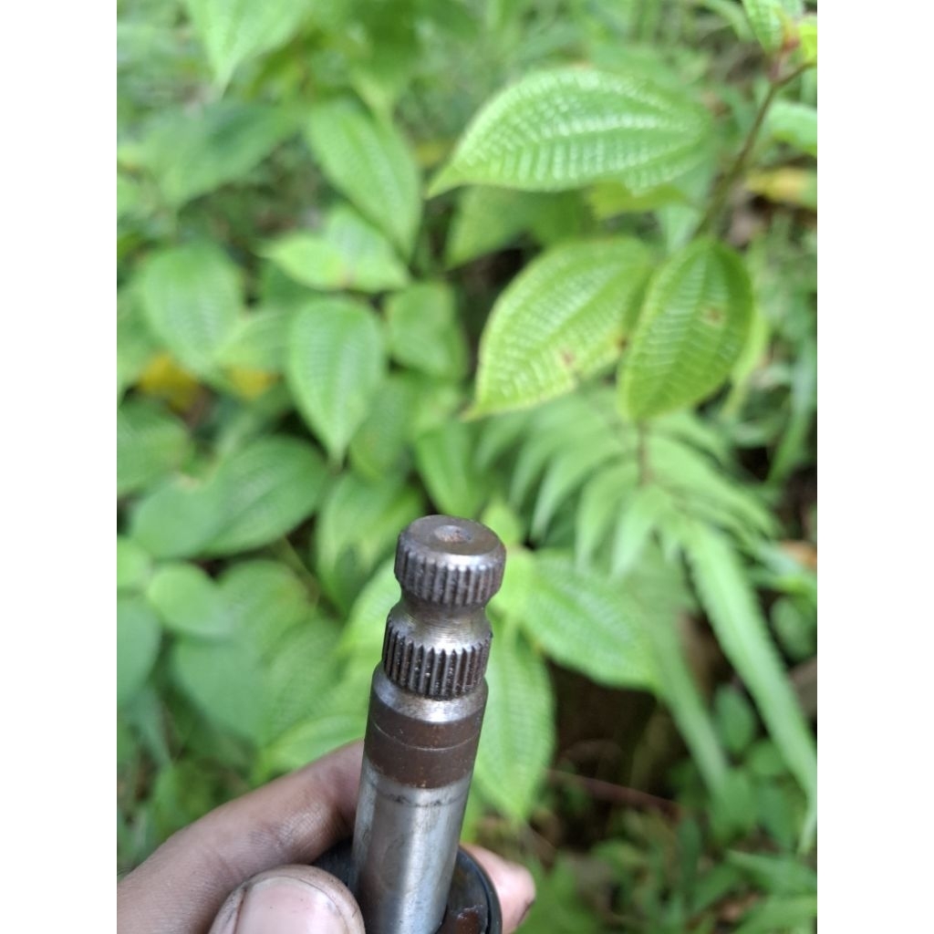 as kick stater jupiter z