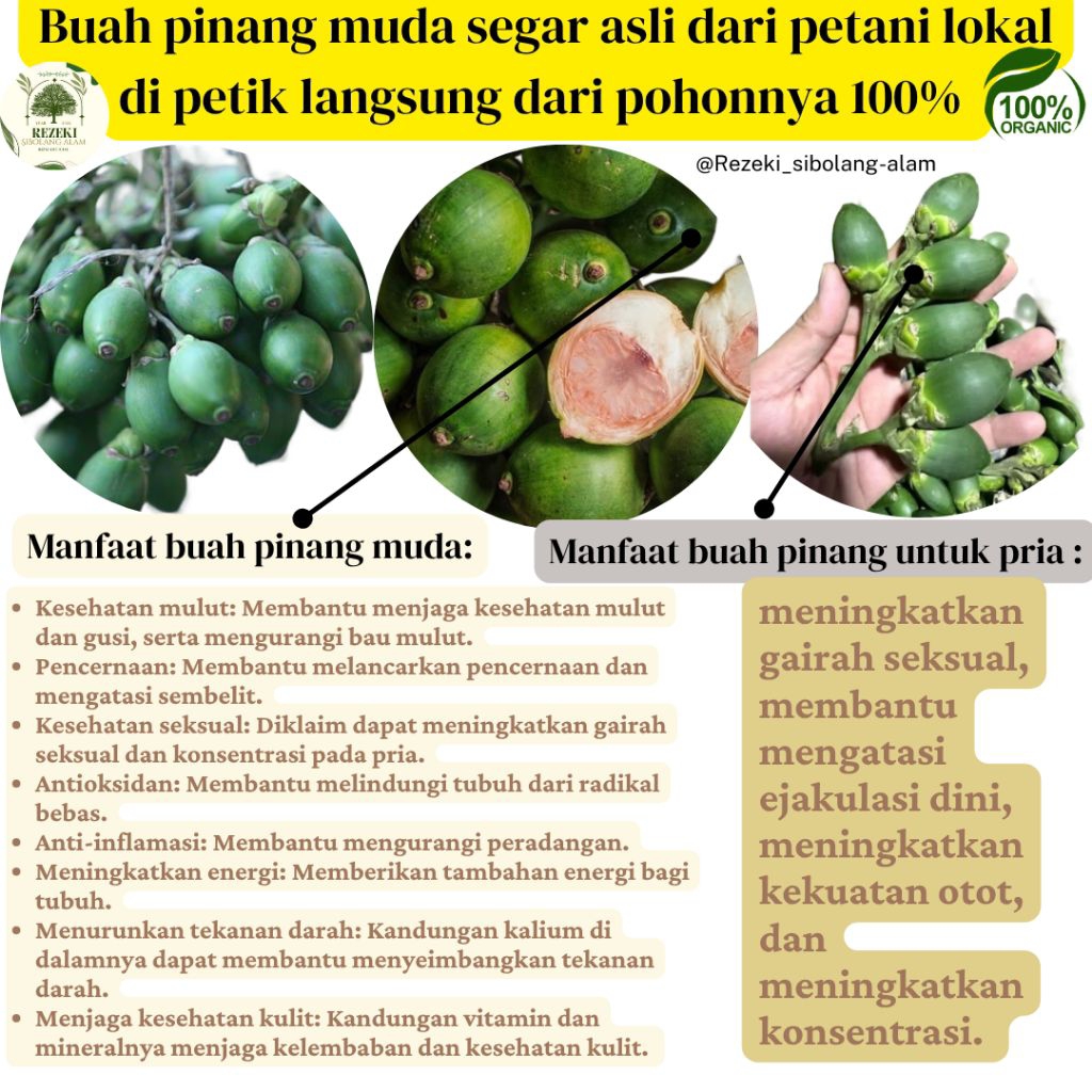 

PINANG MUDA / JAMBE MUDA