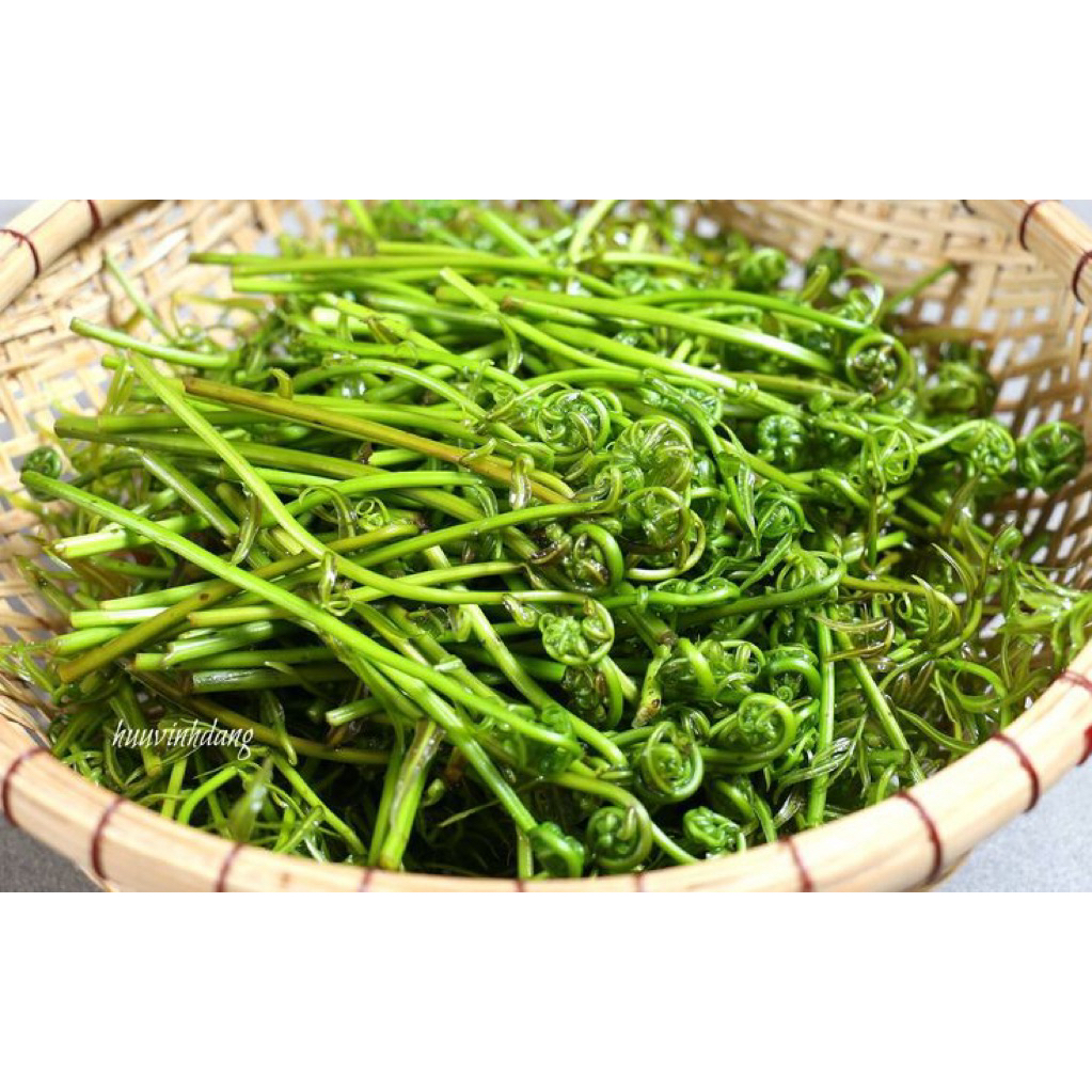 

SAYUR PAKIS KHAS KALIMANTAN