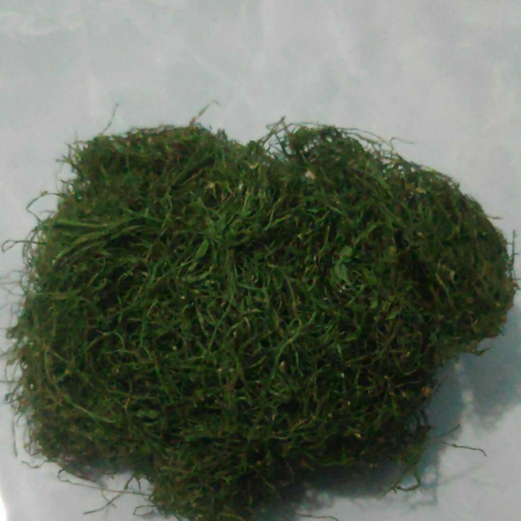 

Daun Kopi Gayo Irisan Halus 15gram