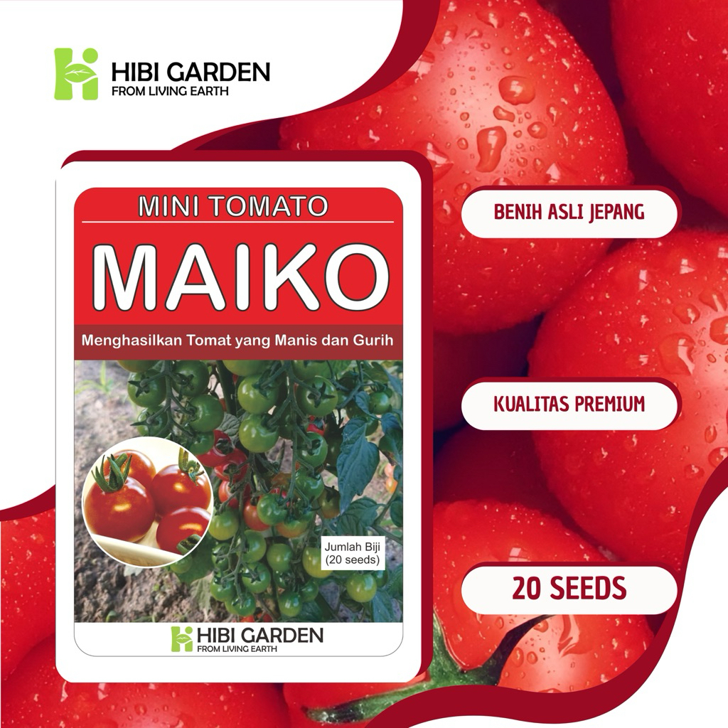 

Tomat Cherry Varietas Maiko Asal Jepang