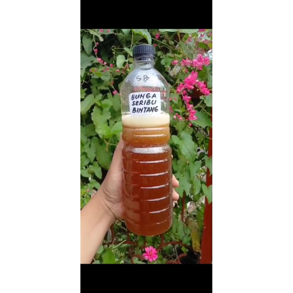 

Madu Bunga Seribu Bintang Lebah Liar