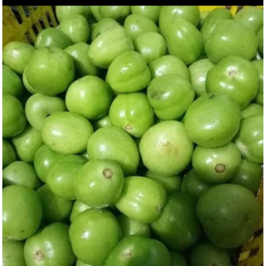 

Tomat Hijau