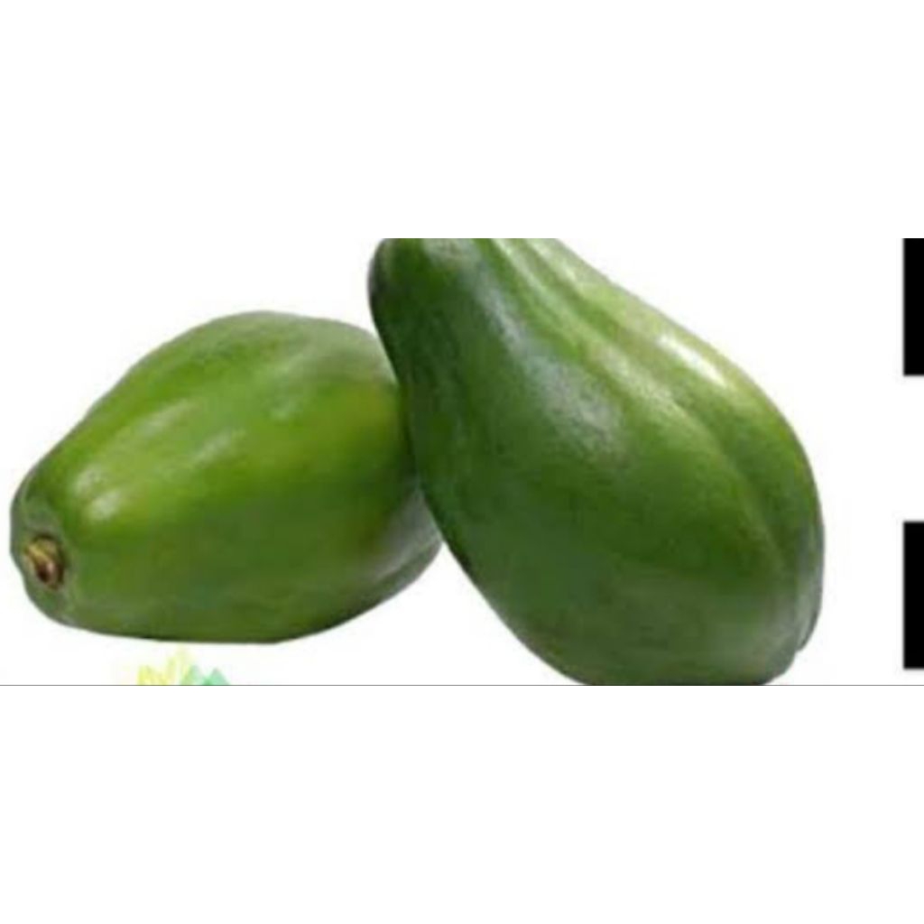 

pepaya muda Fress Bru petik krg lebih berat 3kg