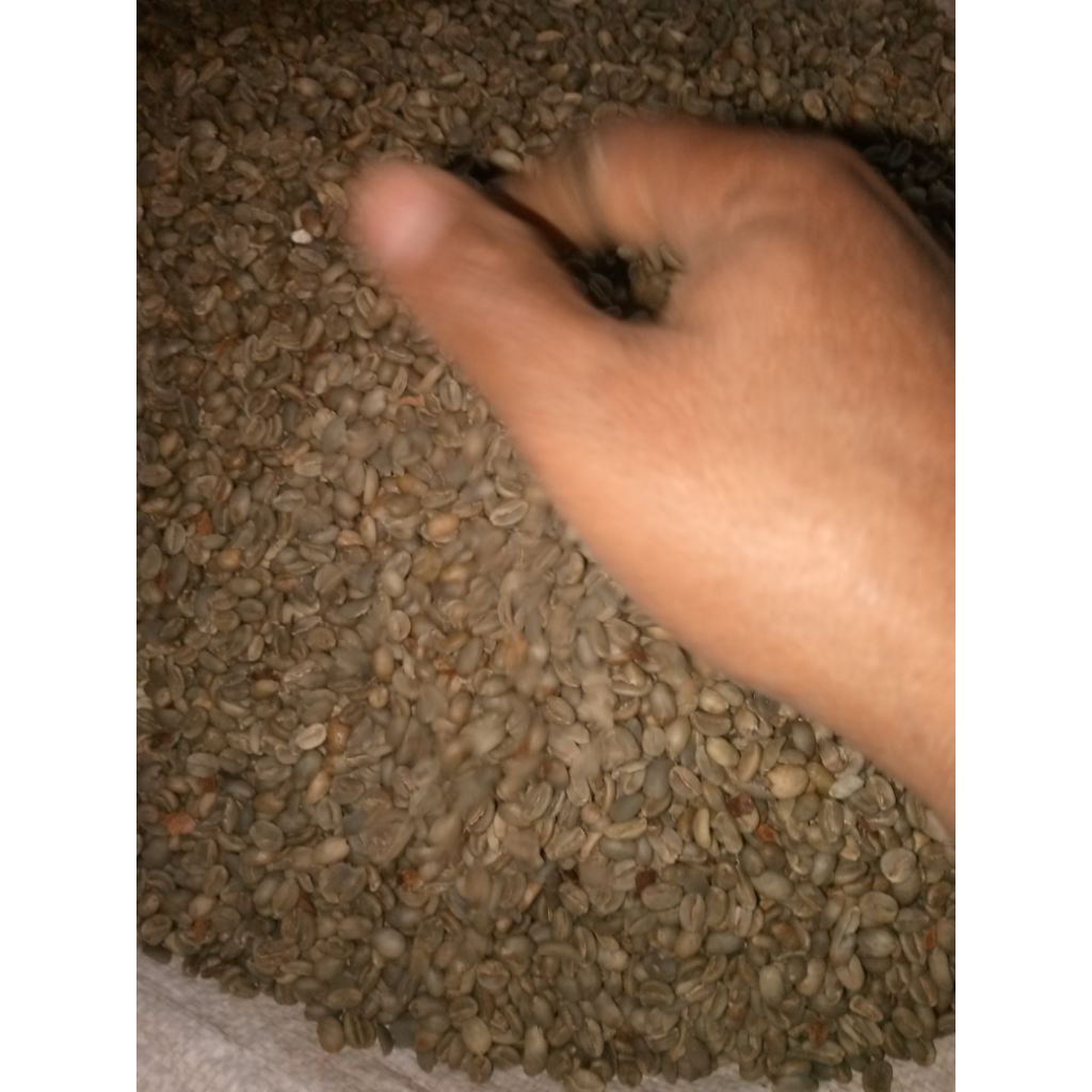 

biji kopi Arabika ratamba1000gram