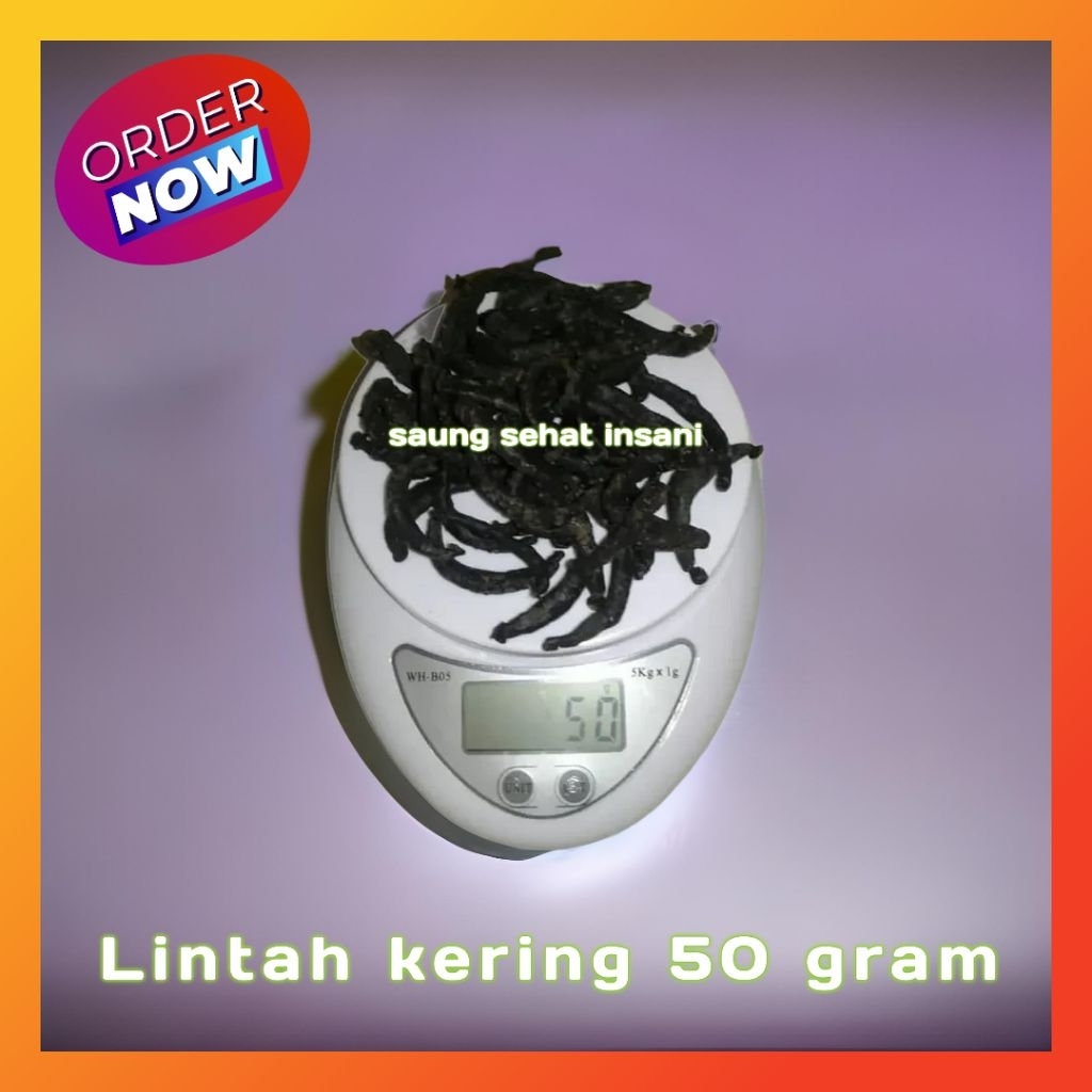 

Lintah kering isi 50 mudah di haluskan