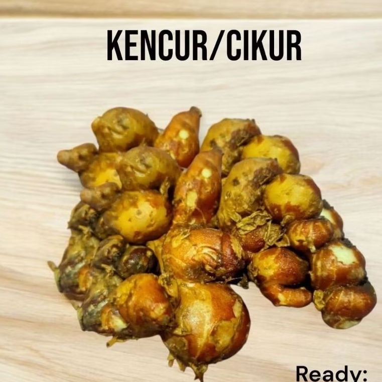 

Kencur termurah 23ribu 1kg