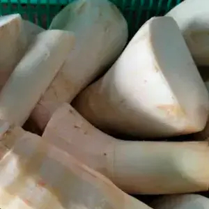 

rebung mentah 500 gr
