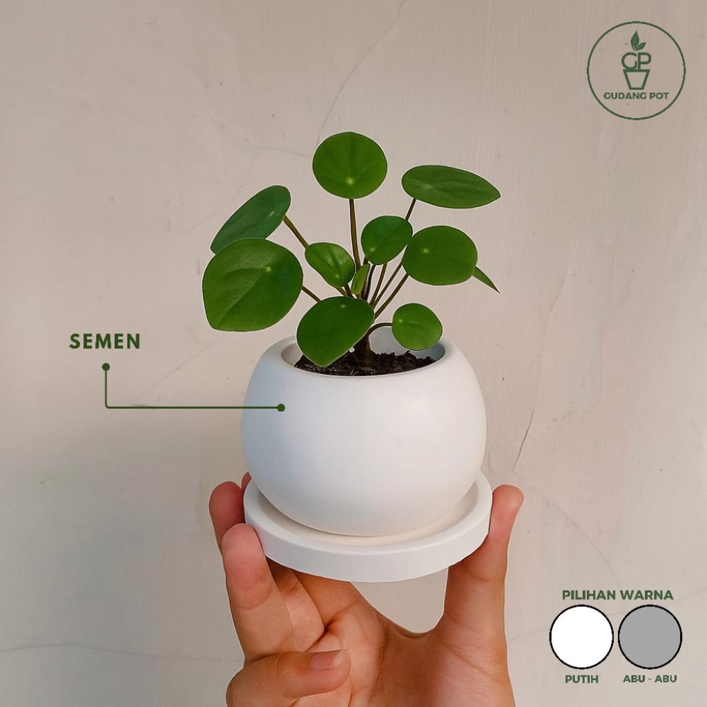 POT SEMEN MINI BULAT