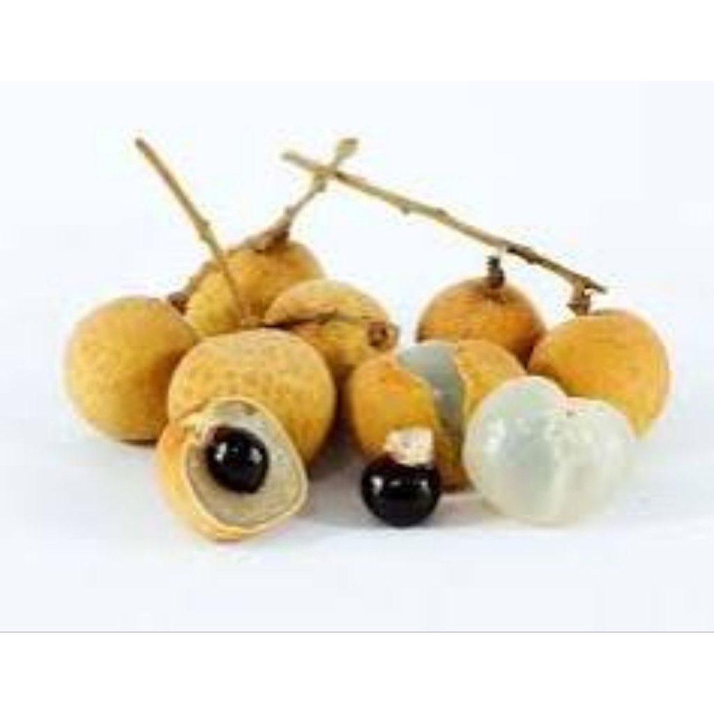 

Buah Kelengkeng 500-1000 Gram, SayurBuahKu- Lampung