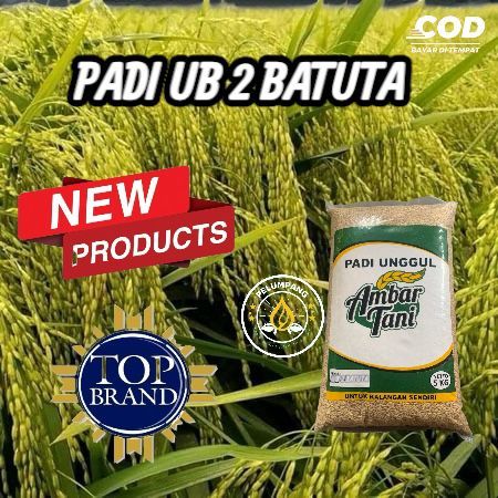 Bibit benih padi UB 2 BATUTA KEMASAN 5kg