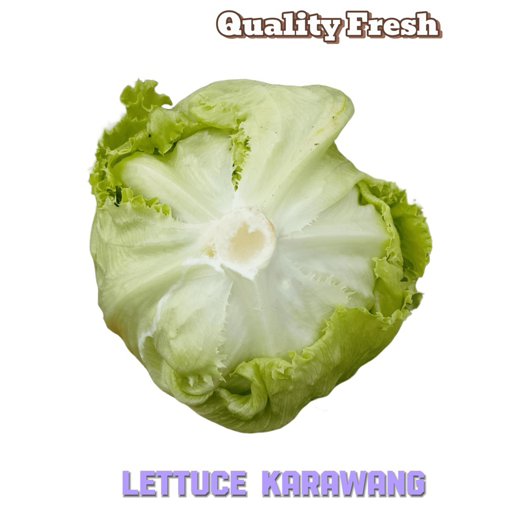 

lettuce head 1kg