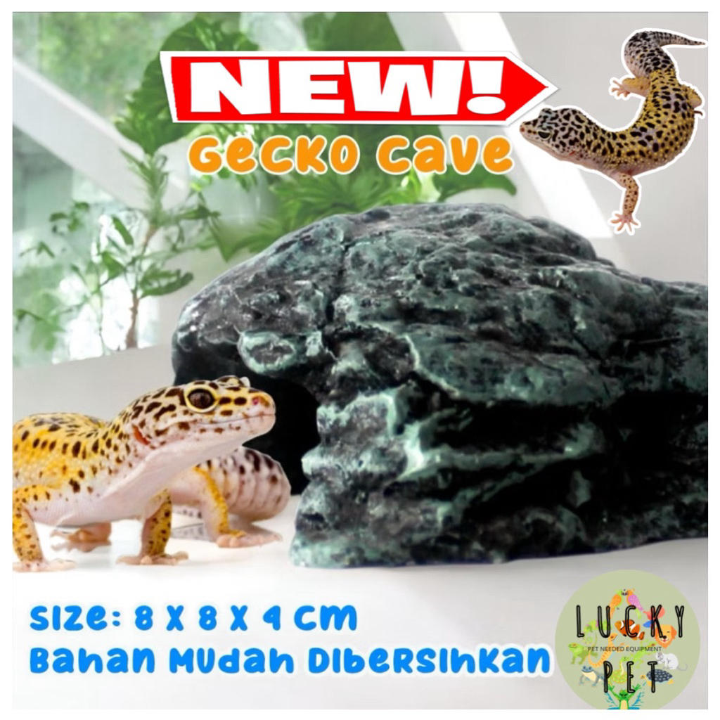 Hiding cave gecko hiasan gecko geko kadal gecho tokek mini kecil murah meriah keren hiasan kandang r