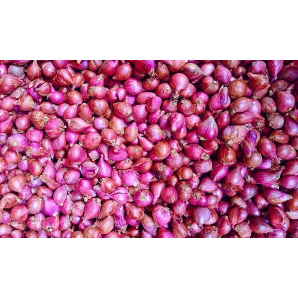 

bawang merah press segar 500gram