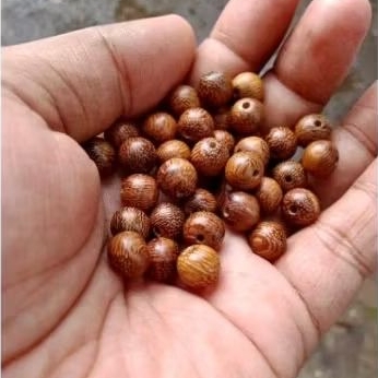 Butiran Bahan Kayu Galih Kelor Serat Emas