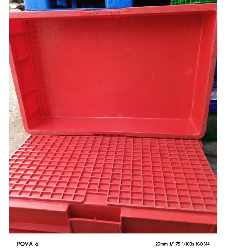 Box Container Rabbit 5077