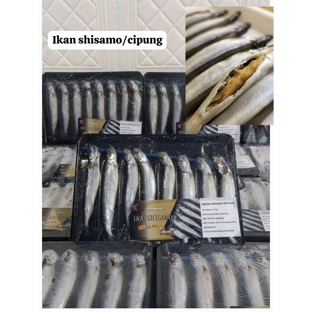 

Sishamo ikan cipung/ shisamo /Sisamo