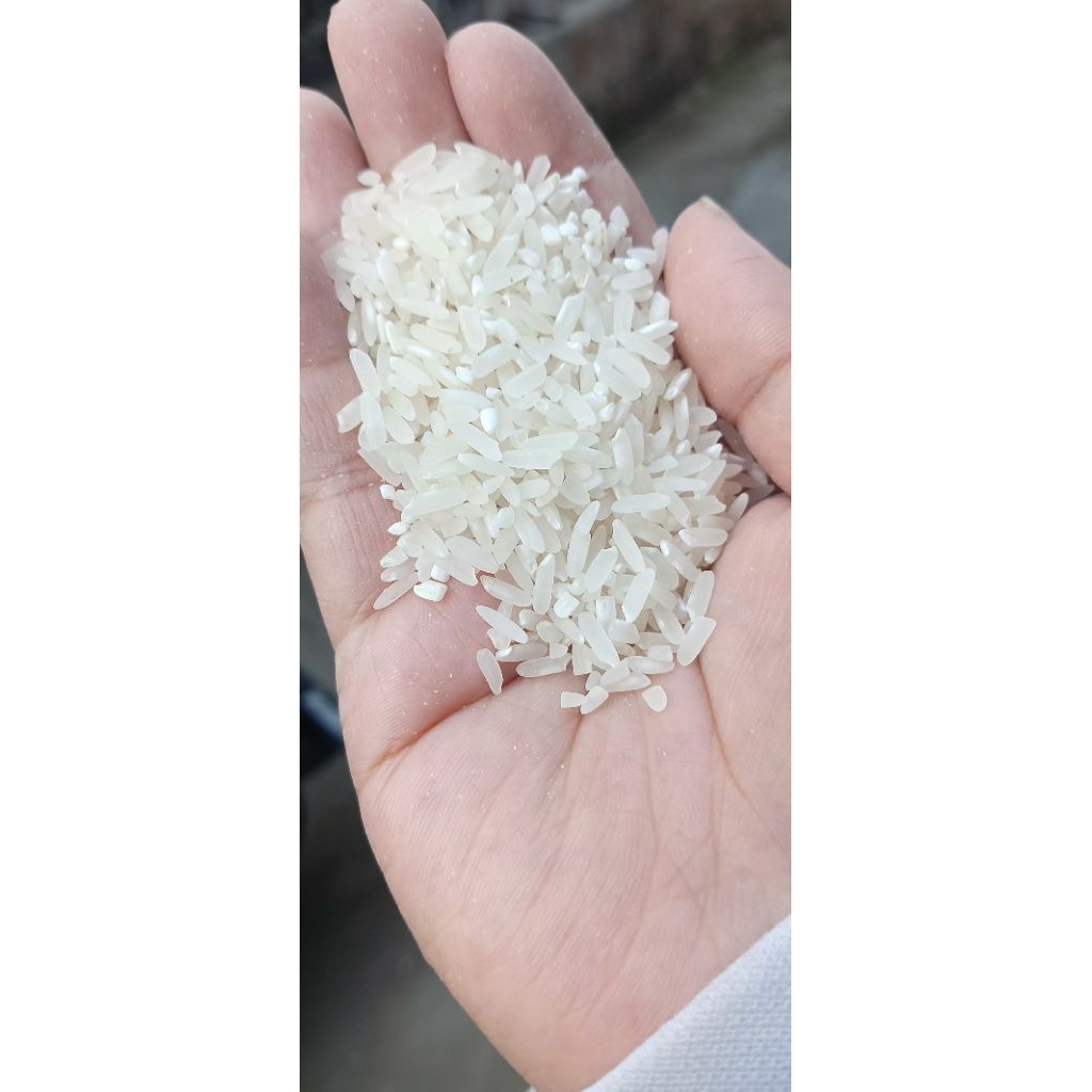 

BERAS SELEPAN/BERAS PULEN/BERAS BRAMO