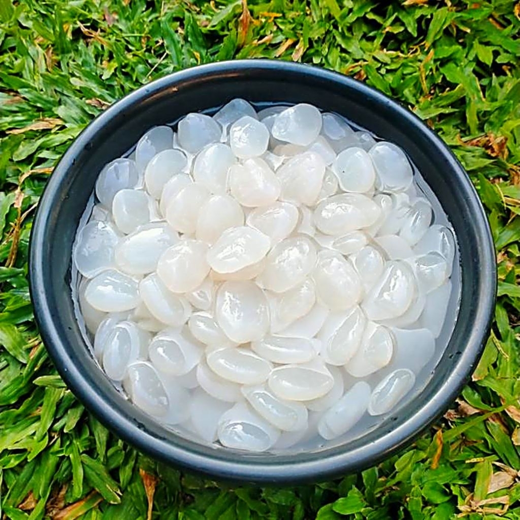 

1KG KOLANG KALING SUPER BESAR & KENYAL ASLI 100% ALAMI