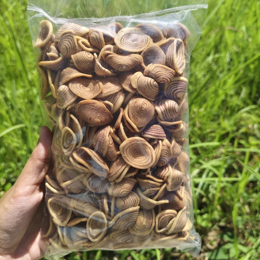 

kuping gajah mini warna cream manis susu gurih