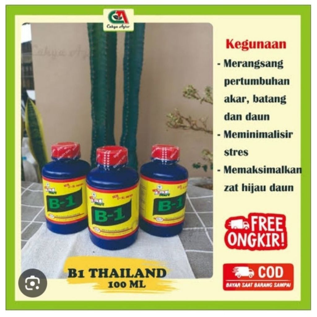 Vitamin B-1 Thailand 100 Ml Original