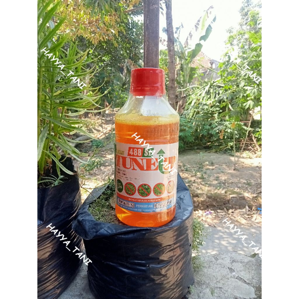 Glifosat TUNE UP Herbisida Sistemik