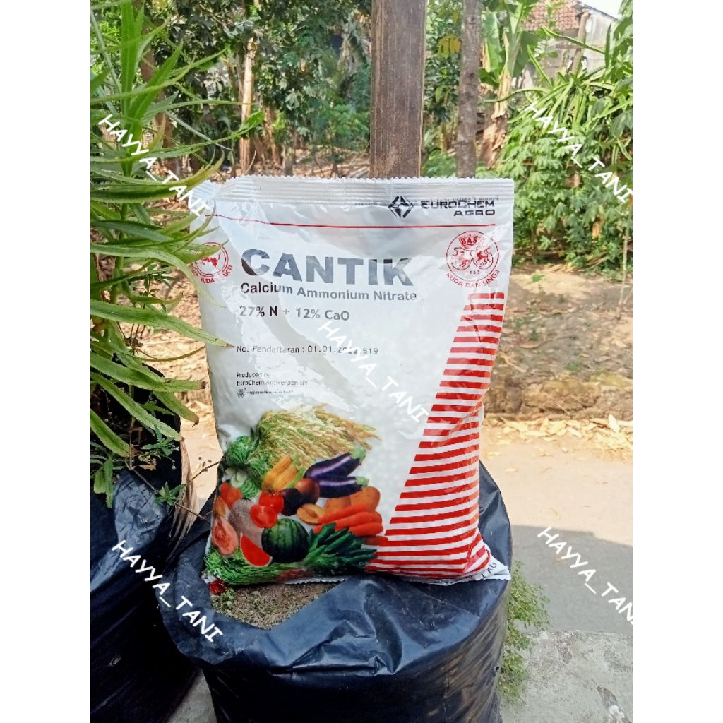 Pupuk CANTIK Calcium Ammonium Nitrate