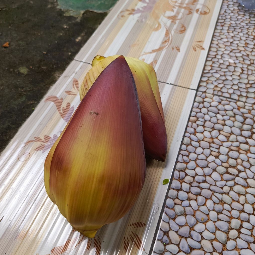 

JANTUNG PISANG KEPOK BIJIAN JANTUNG PISANG SAYUR