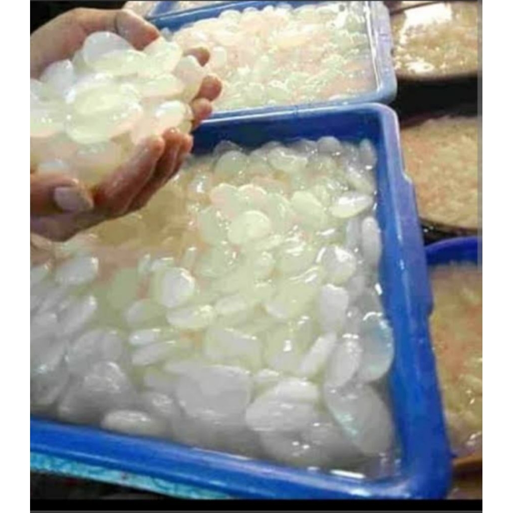 

kolang Kaling segar 1kg