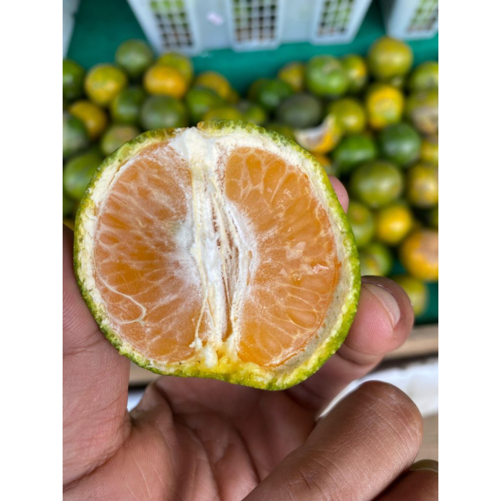 

JERUK SIEM MADU MALANG 1 kilogram