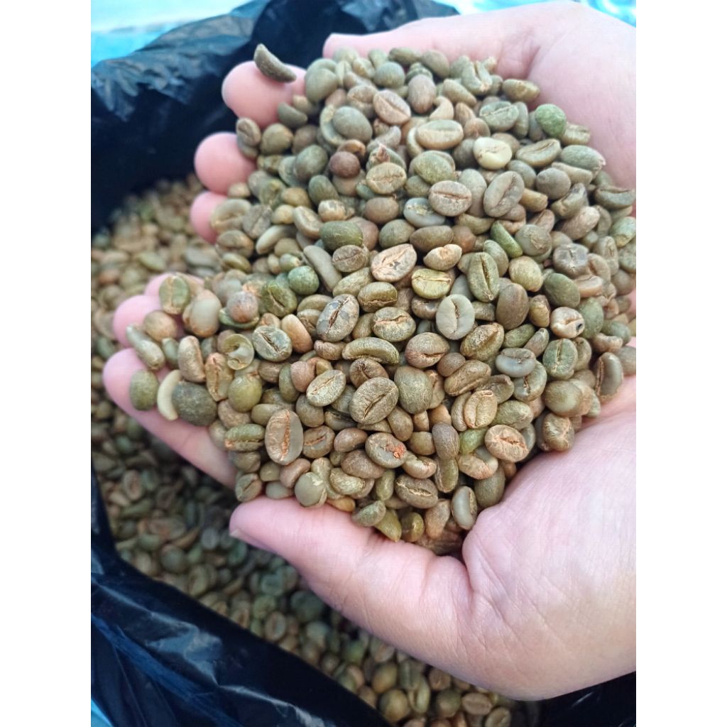 

BIJI KOPI ROBUSTA / GREEN BEAN ROBUSTA 500gr Grade 1. honey process