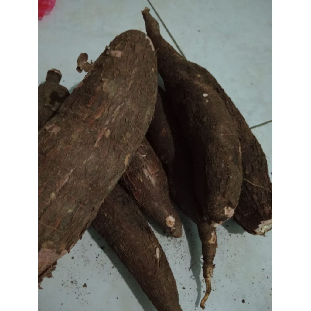

Singkong Mentah Fresh 1 Kg