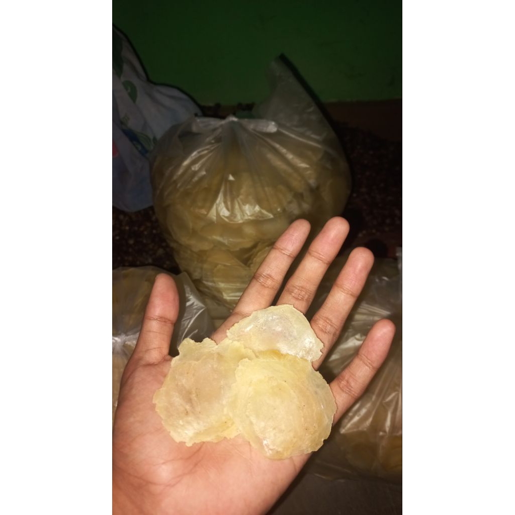 

JUAL EMPING MELINJO MENTAH ASLI BANTUL MLINJO EMPING 1KG