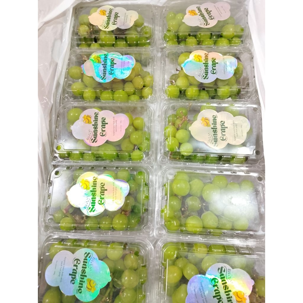 

anggur shine muscat super manizz tanpa biji