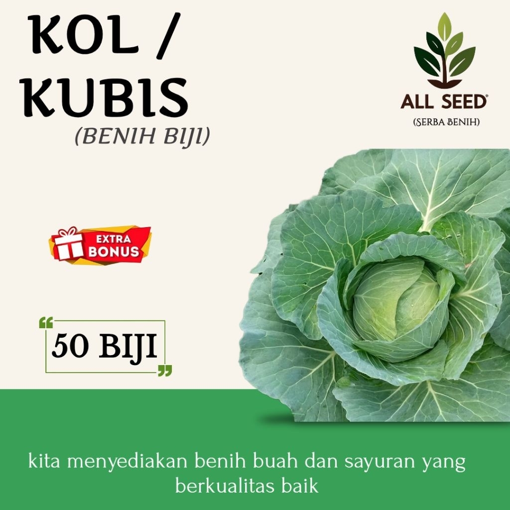 ( 50 biji ) Benih kubis | bibit biji kol | kubis hijau