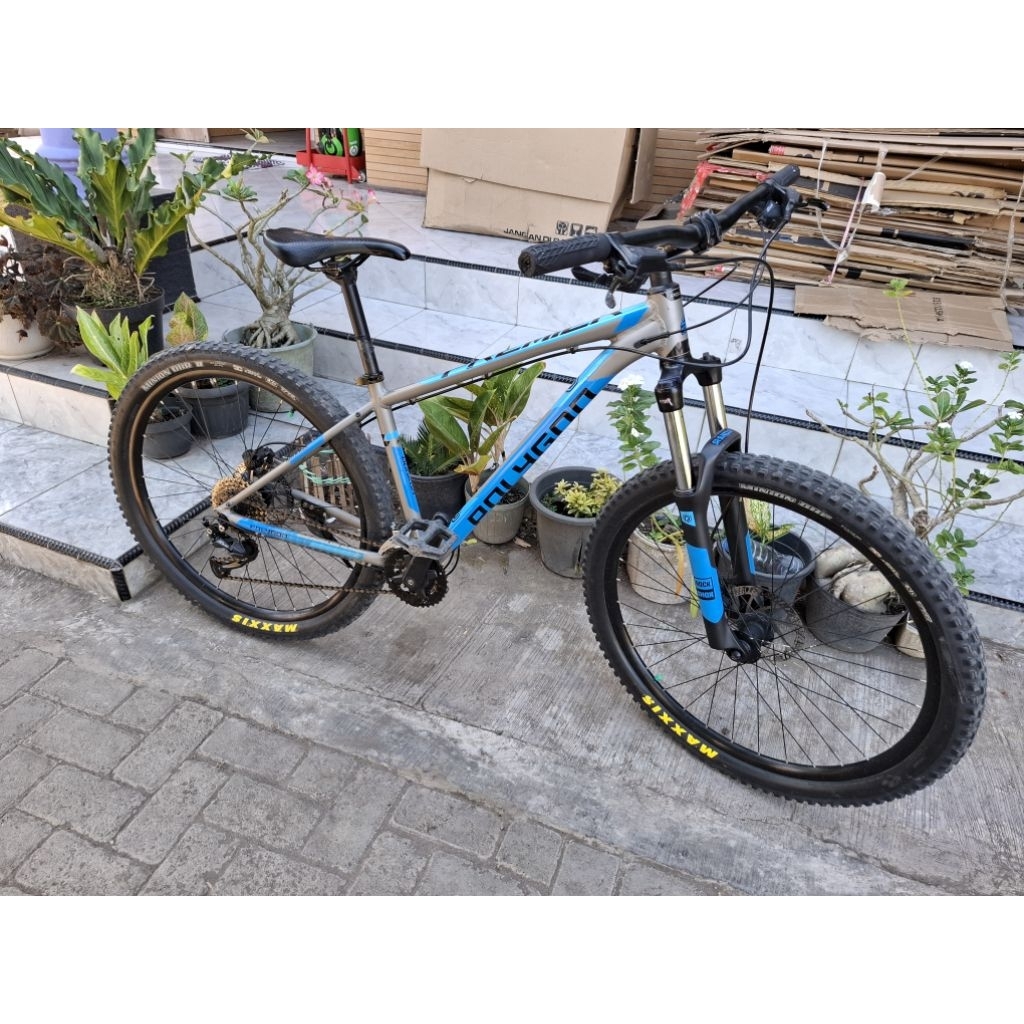 Polygon primer 5 2021