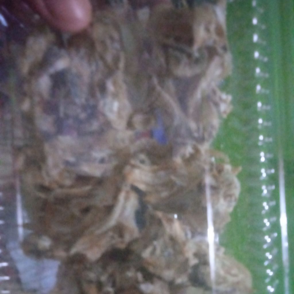 

Terlaris !! ikan teri nasi khas karangaji