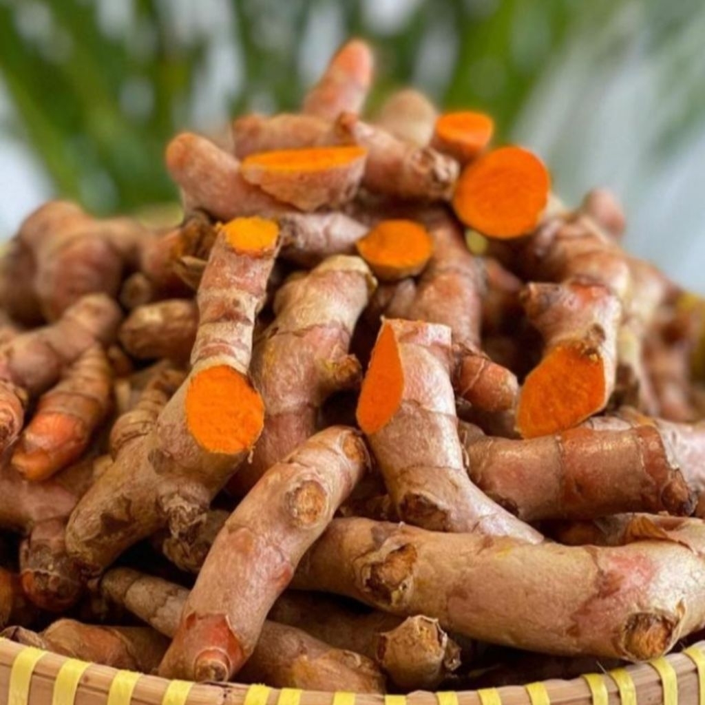 

500gram kunyit pilihan terbaik