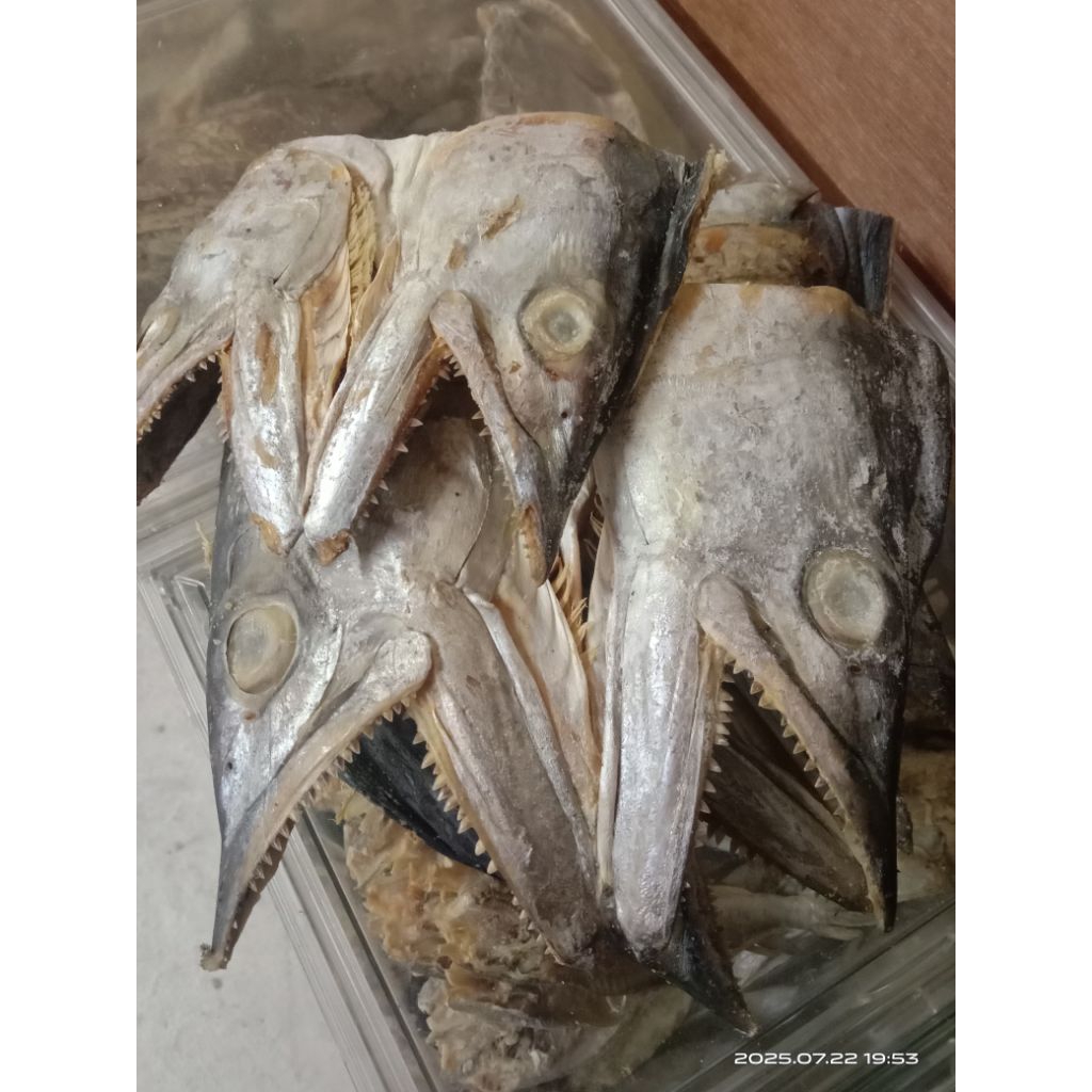 

KEPALA TELANG TENGGIRI