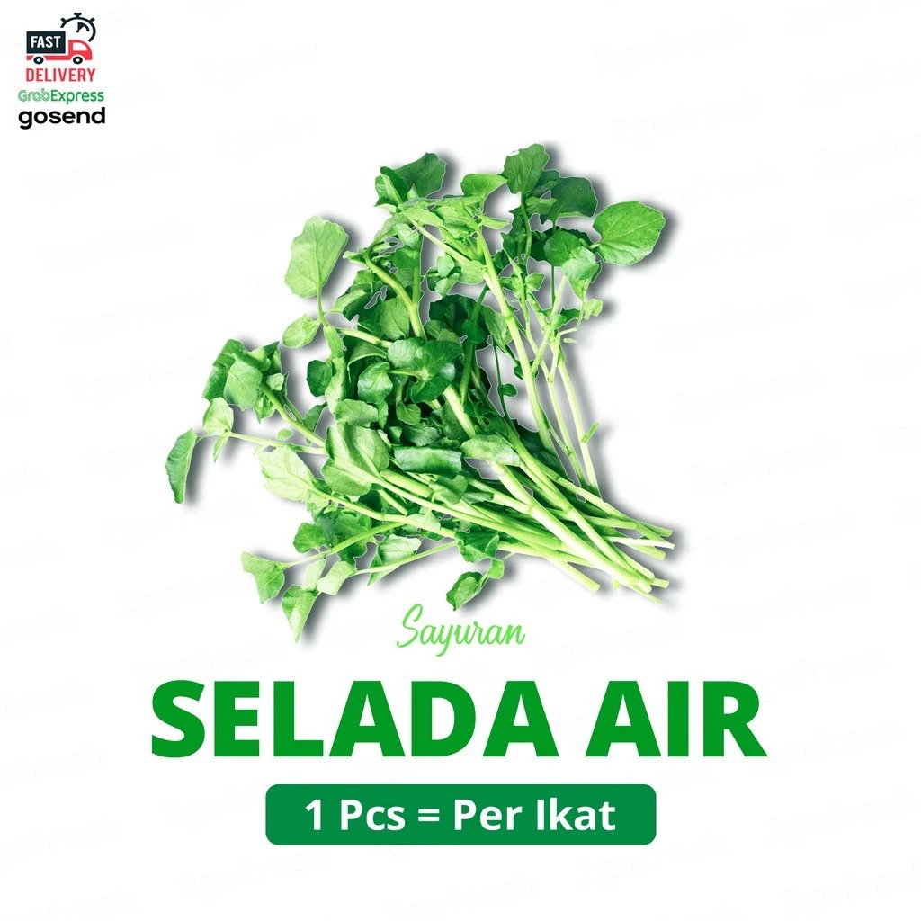 

Sayur Selada Air / Watercress Fresh - Sayuran