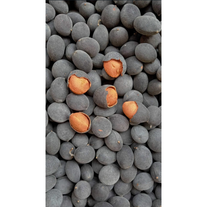 

ASAM KERANJI FRESH - ASAM KERANJI