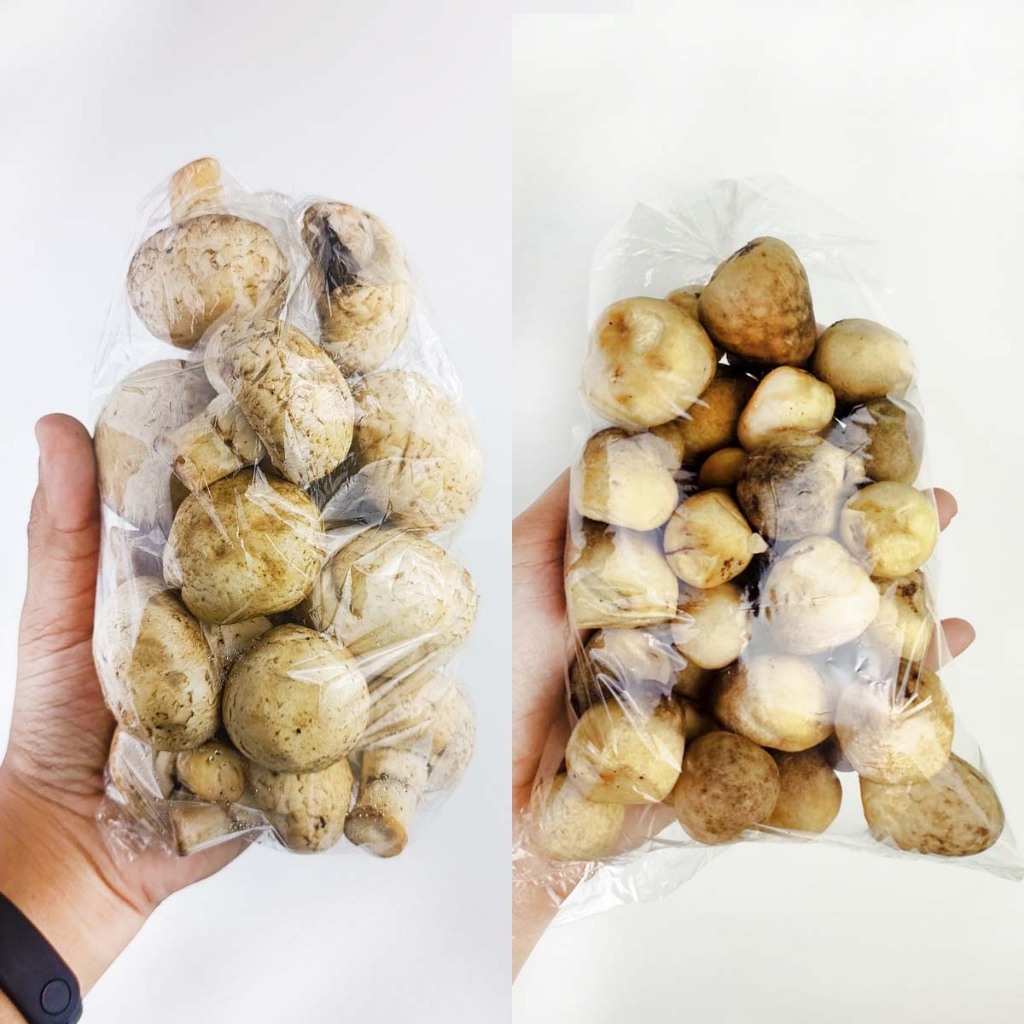 

Aneka Jamur Kancing, Jamur Merang 250g Segar Siap Masak